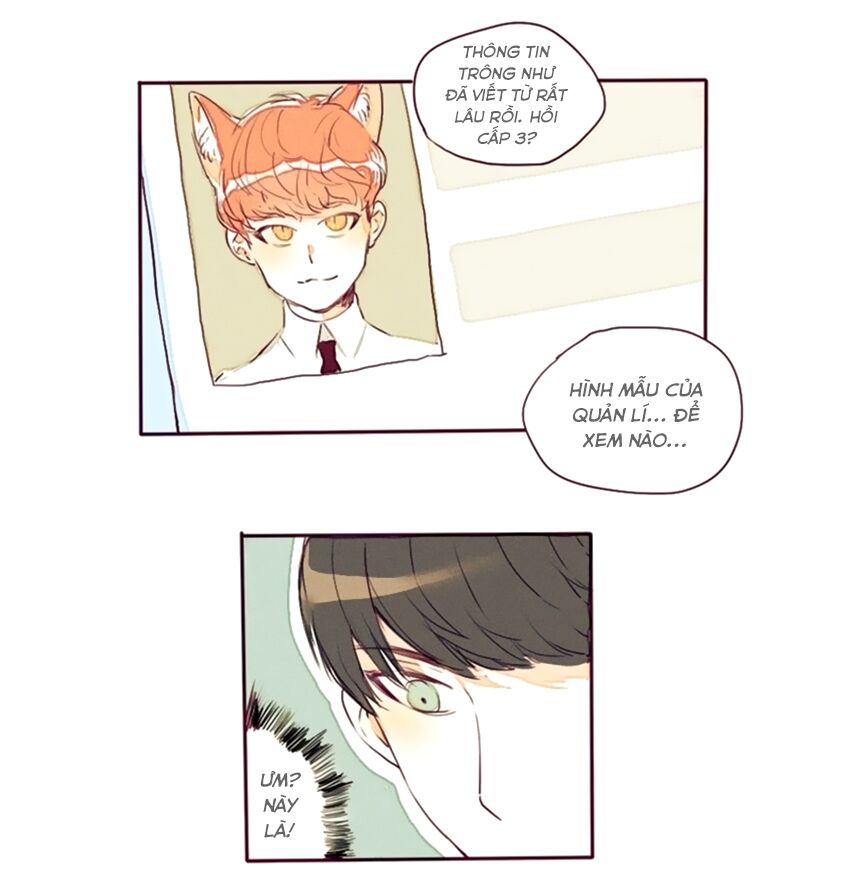 Cưới, Tôi Ư?: Chapter 6