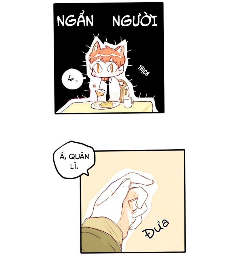 Cưới, Tôi Ư?: Chapter 7