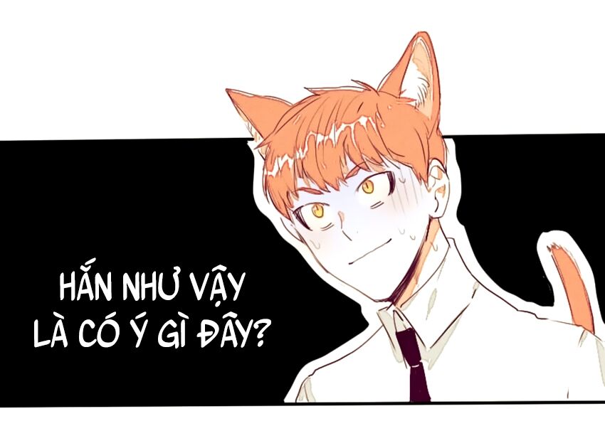 Cưới, Tôi Ư?: Chapter 7