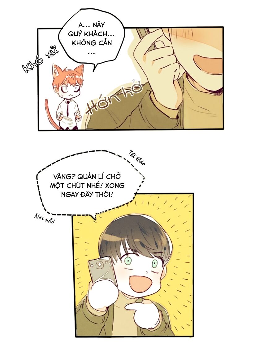 Cưới, Tôi Ư?: Chapter 7
