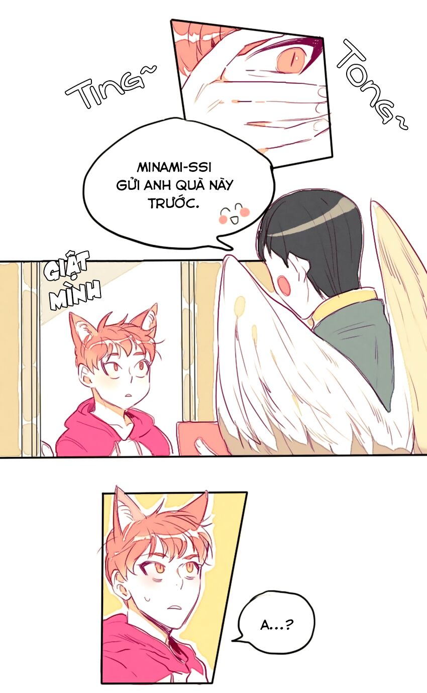 Cưới, Tôi Ư?: Chapter 8