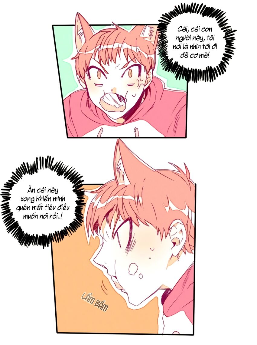 Cưới, Tôi Ư?: Chapter 9