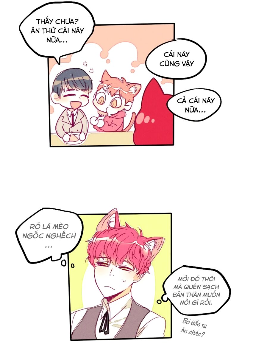 Cưới, Tôi Ư?: Chapter 9