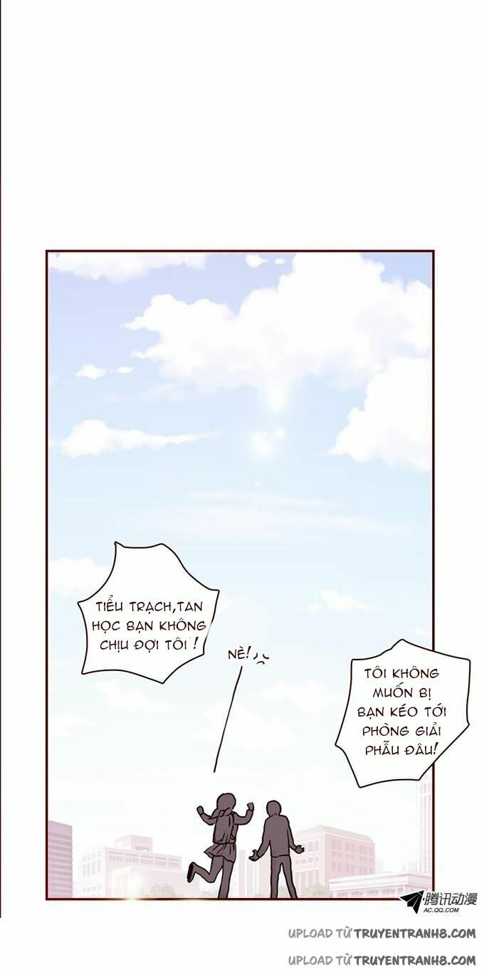 Ớn Lạnh Tuyệt Đối: Chapter 12