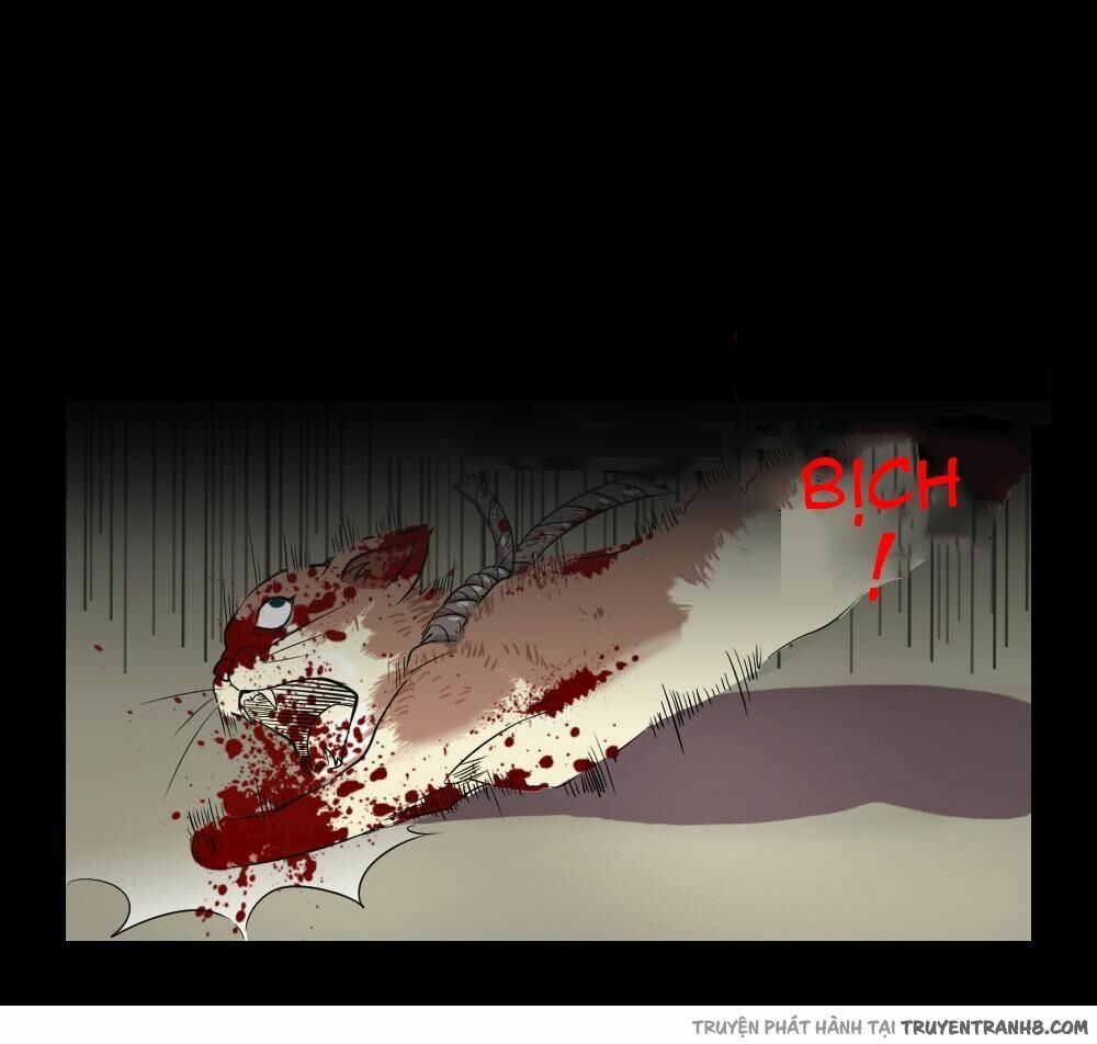 Ớn Lạnh Tuyệt Đối: Chapter 4