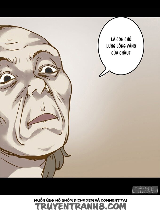 Ớn Lạnh Tuyệt Đối: Chapter 73