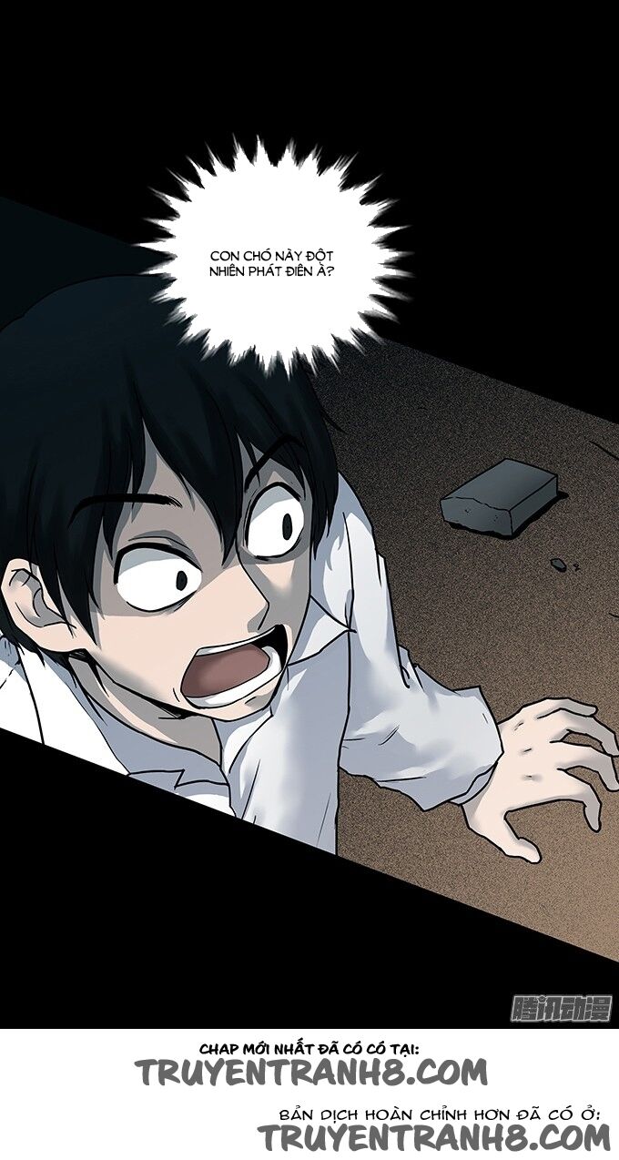 Ớn Lạnh Tuyệt Đối: Chapter 96