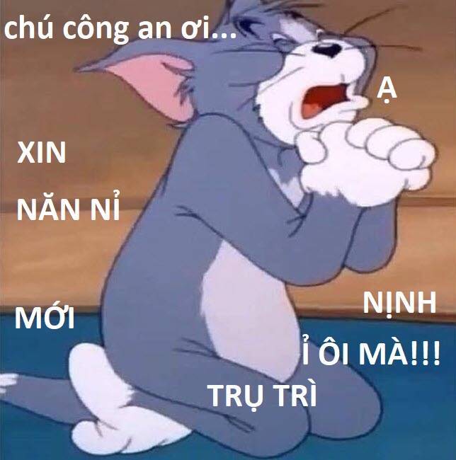 Hổ Đến Chơi Nhà: Chương 84
