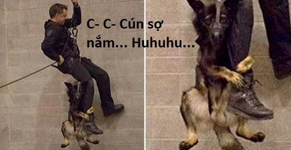 Hổ Đến Chơi Nhà: Chương 85