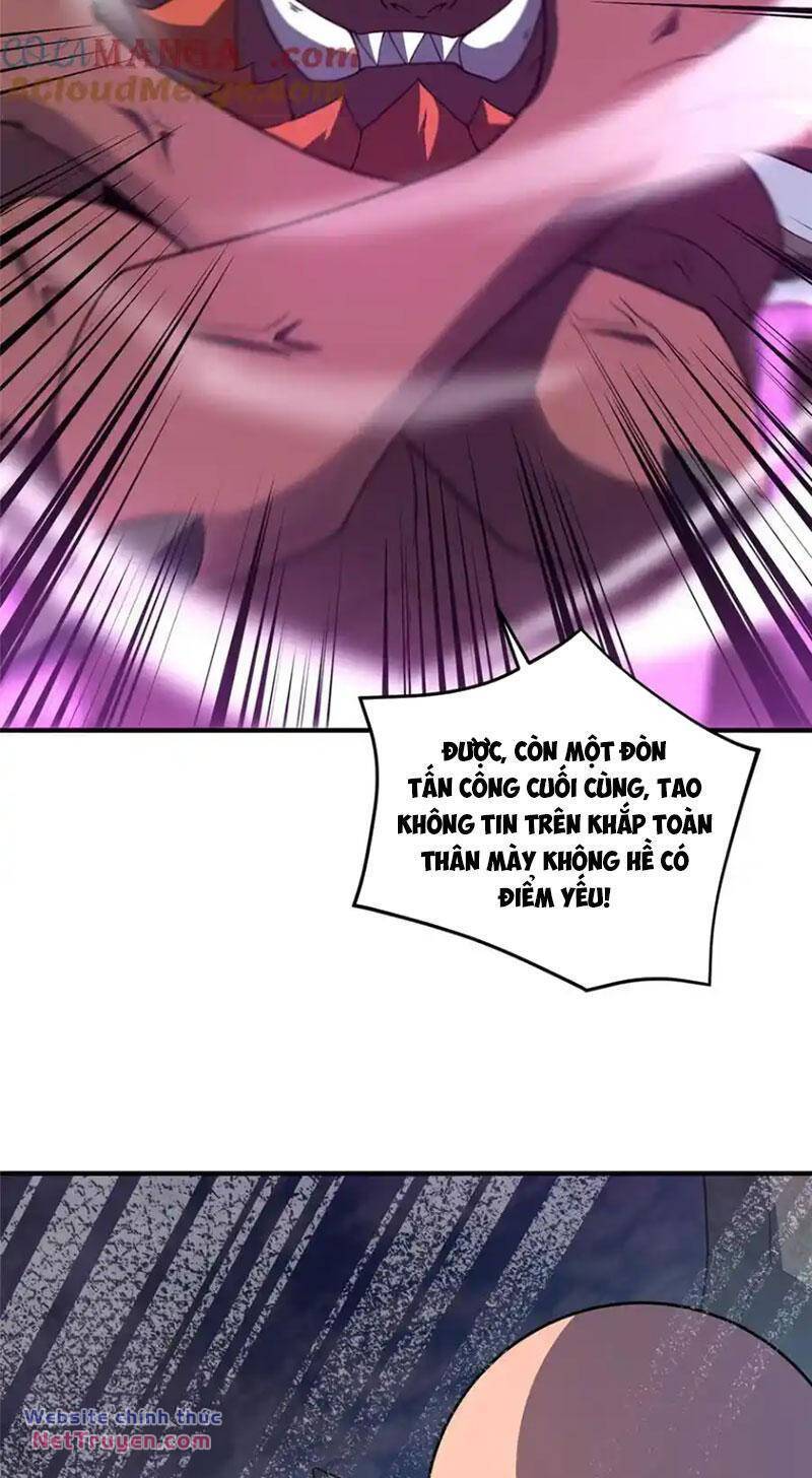 Thần Sủng Tiến Hóa: Chapter 300