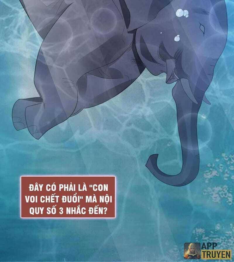Quy Tắc Chuyện Lạ: Bắt Đầu Hóa Thân Đánh Lui Chiến Thần: Chapter 37: Tô hiểu mất trí nhớ