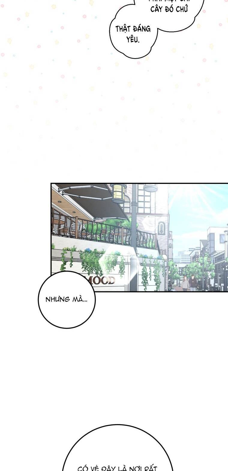 Lý Do Kết Hôn: Chương 21.2