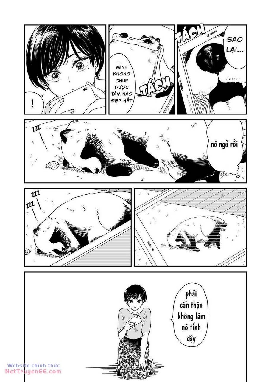 Mưa, Tôi Và Em: Chapter 9