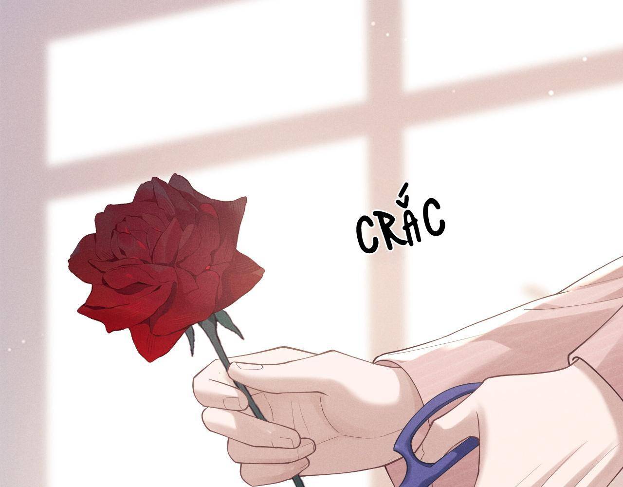 Chấp Sự Thỏ Tai Cụp: Chapter 68