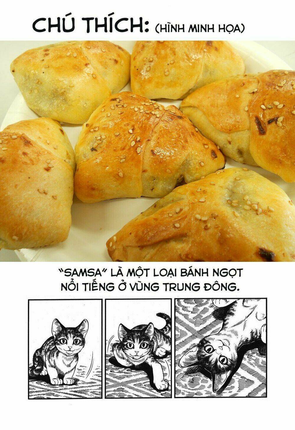 Cô Dâu Thảo Nguyên: Chapter 78