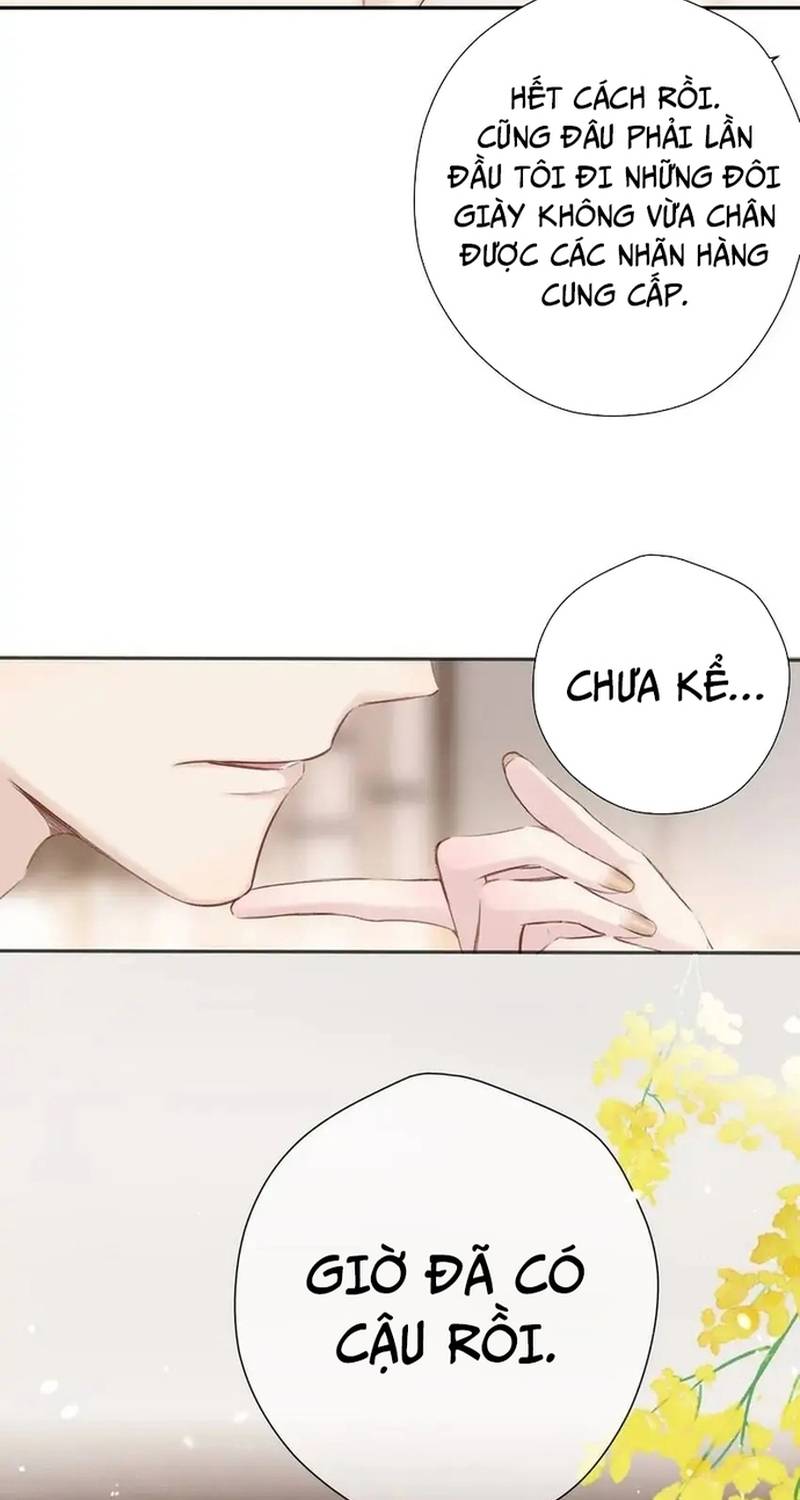 Bảo Vệ Siêu Sao Của Tôi: Chương 138
