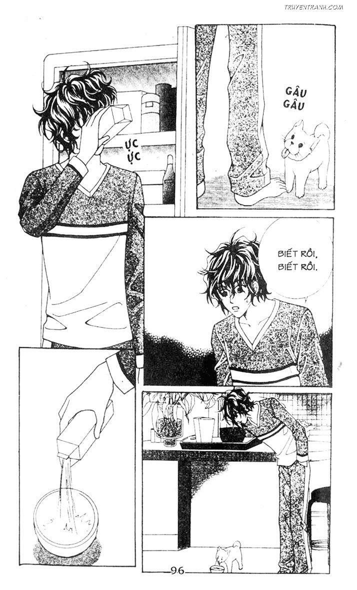 Điên Vì Yêu - Love Like Crazy: Chapter 28