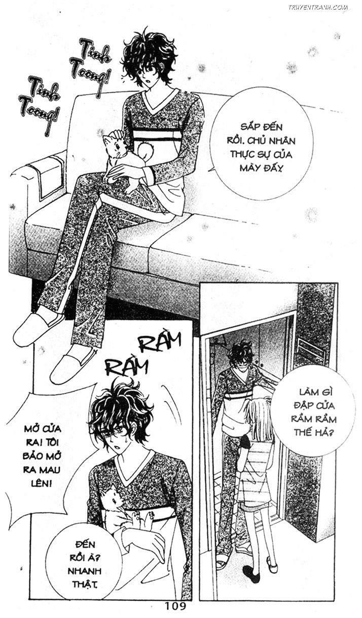 Điên Vì Yêu - Love Like Crazy: Chapter 28