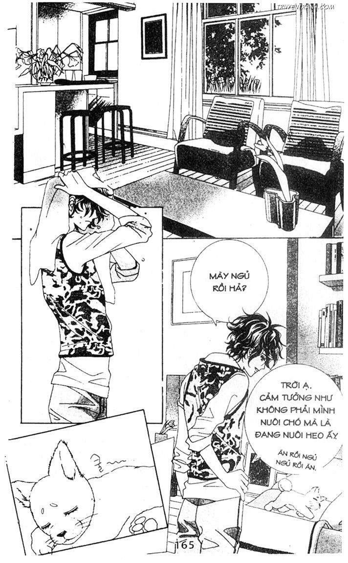 Điên Vì Yêu - Love Like Crazy: Chapter 30