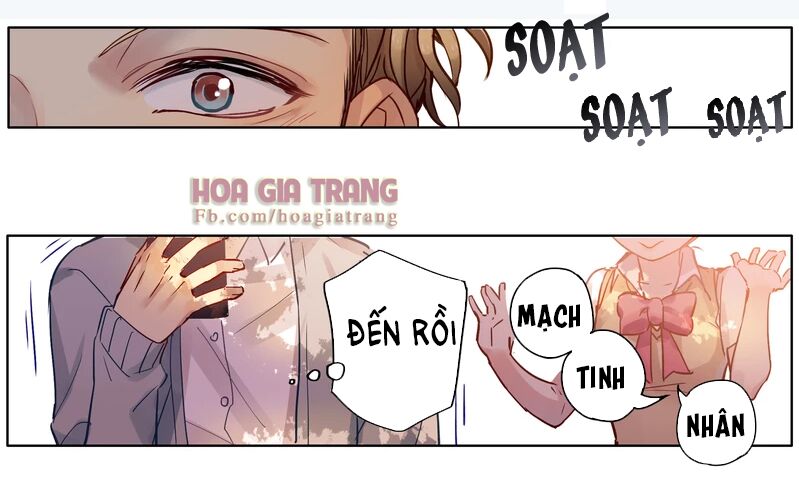 Thỏ tử nhiệt lãng: Chapter 3