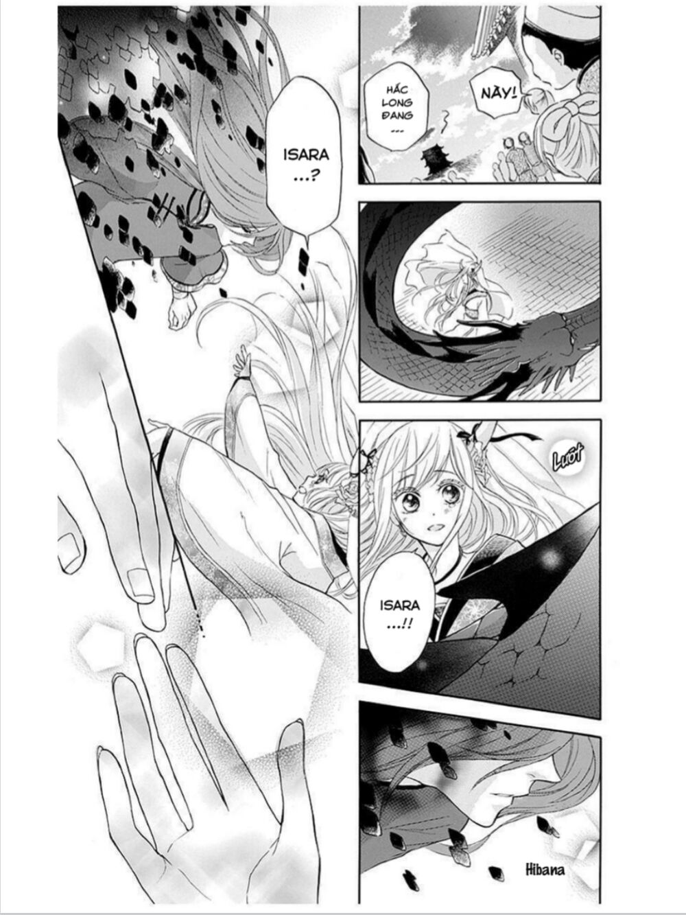 Strange Dragon: Chapter 12: - End