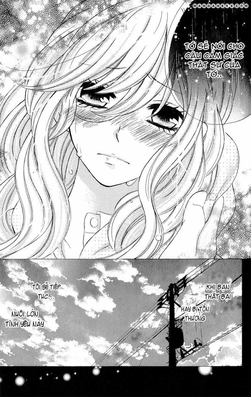 Kimi ni Happiness: Chapter 4: (END): Hạnh phúc này dành ch ...