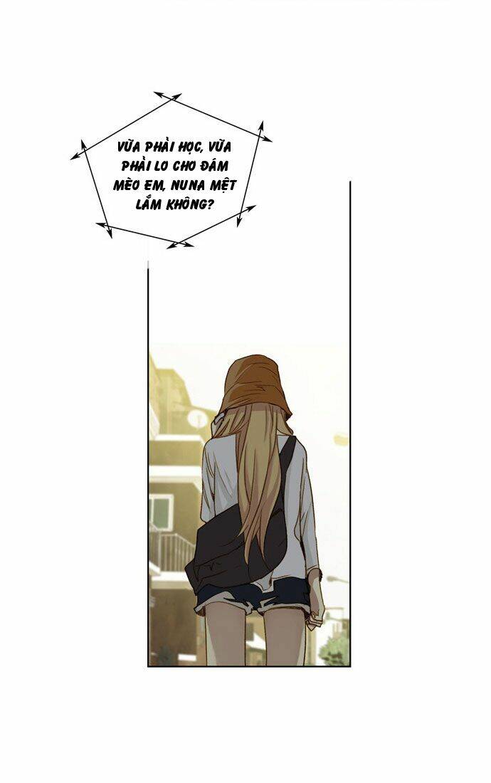 Mười Chín, Hai Mươi Mốt: Chapter 11