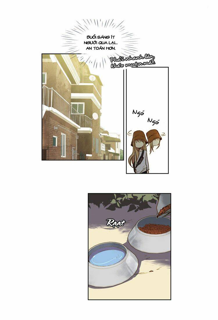 Mười Chín, Hai Mươi Mốt: Chapter 11
