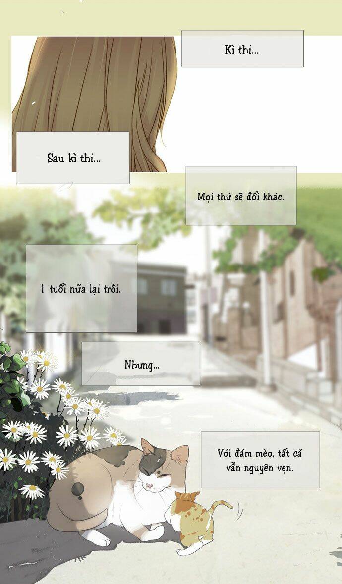 Mười Chín, Hai Mươi Mốt: Chapter 14