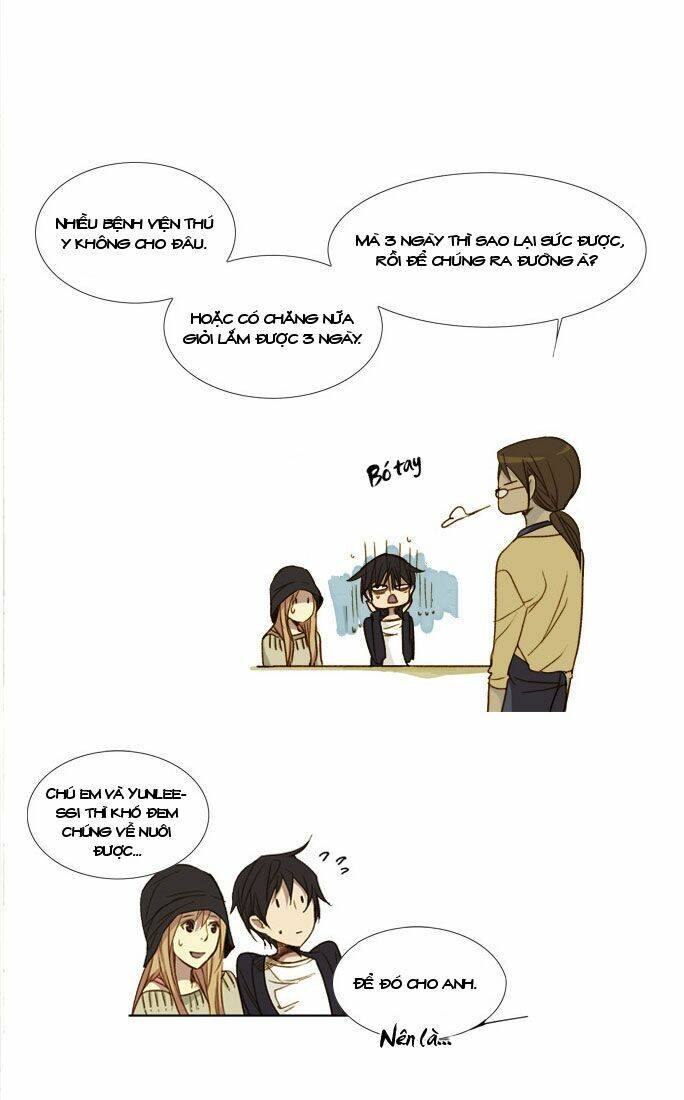 Mười Chín, Hai Mươi Mốt: Chapter 15