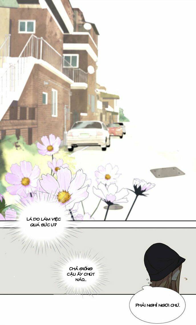 Mười Chín, Hai Mươi Mốt: Chapter 15