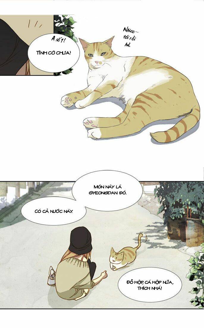 Mười Chín, Hai Mươi Mốt: Chapter 15