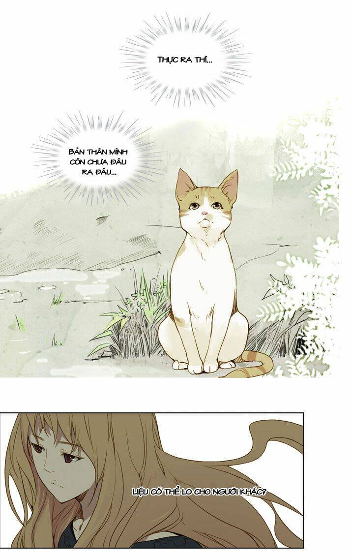 Mười Chín, Hai Mươi Mốt: Chapter 16