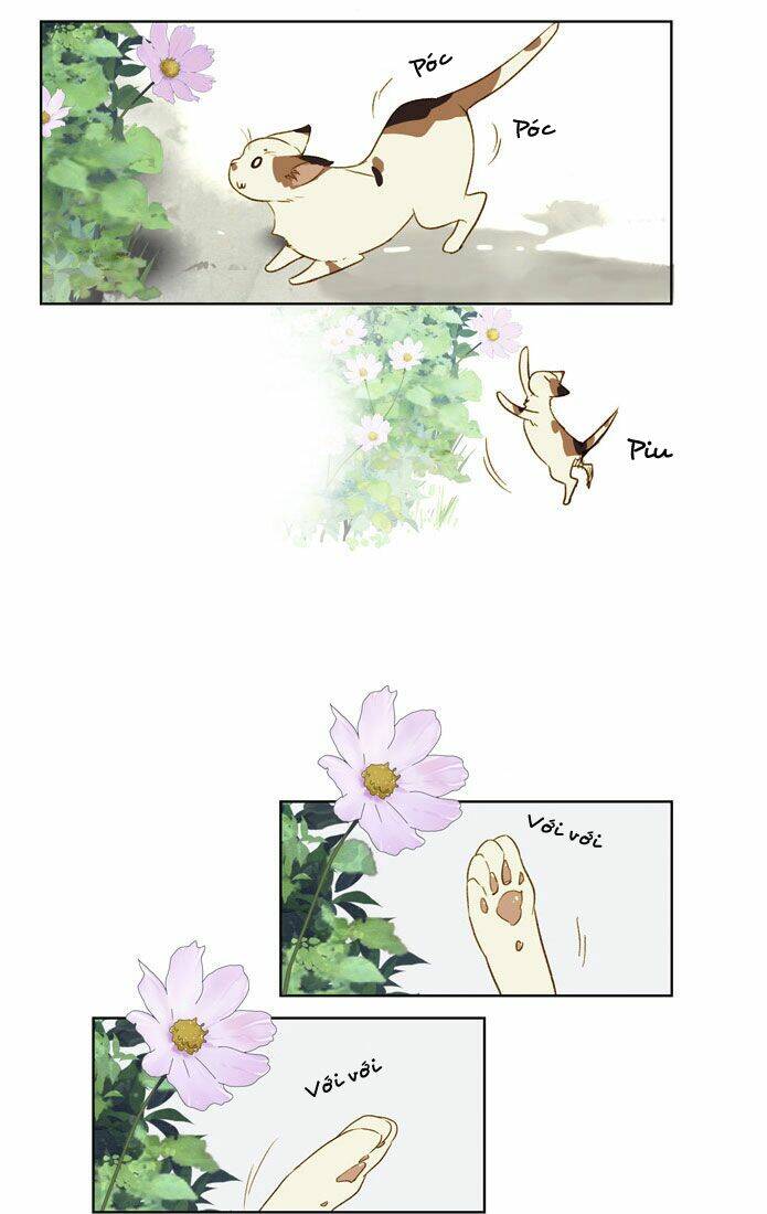 Mười Chín, Hai Mươi Mốt: Chapter 16