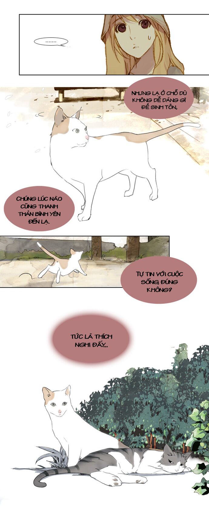 Mười Chín, Hai Mươi Mốt: Chapter 2