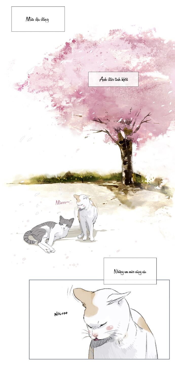 Mười Chín, Hai Mươi Mốt: Chapter 3
