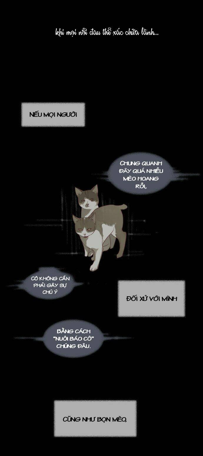 Mười Chín, Hai Mươi Mốt: Chapter 8
