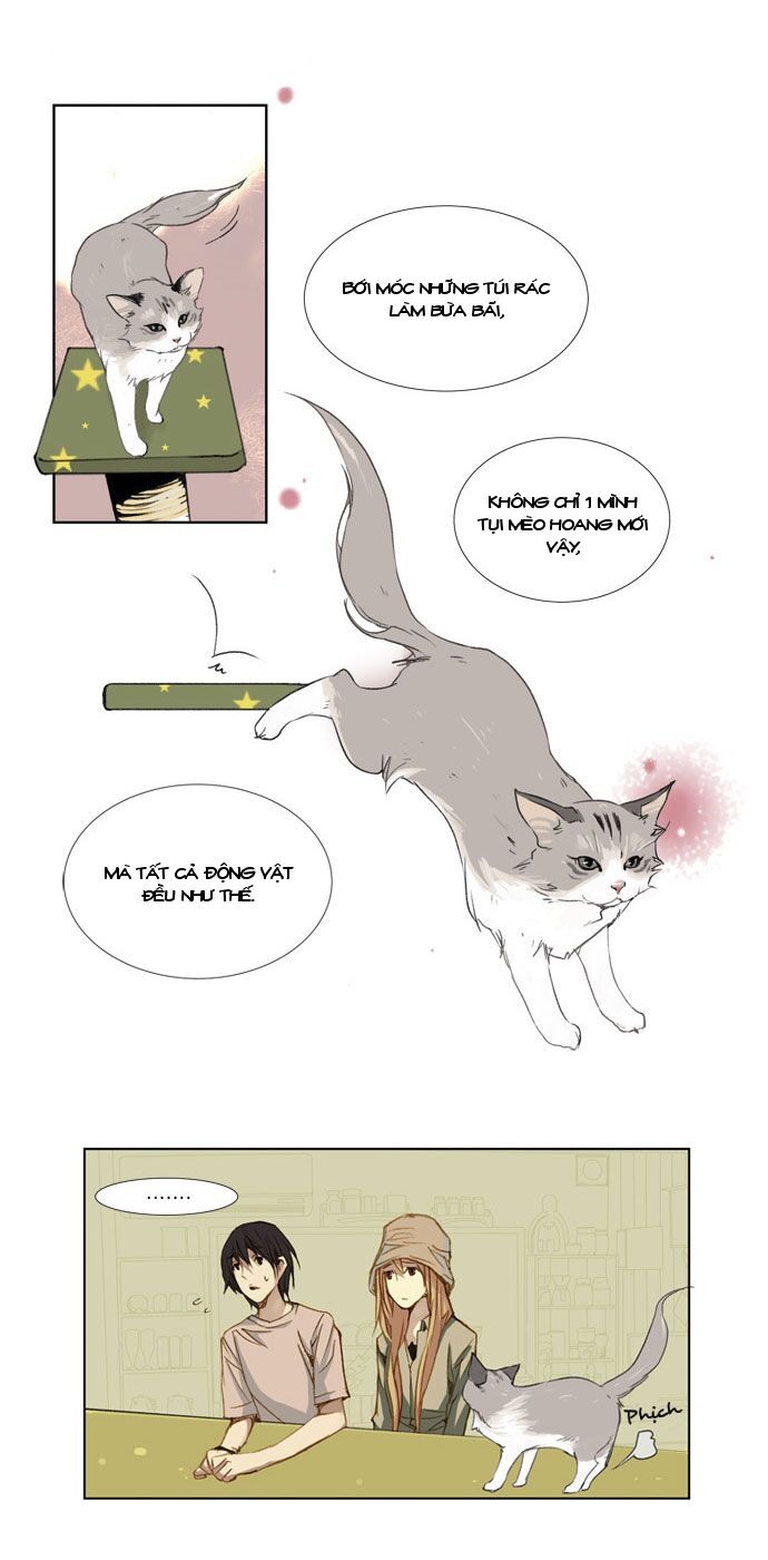 Mười Chín, Hai Mươi Mốt: Chapter 9