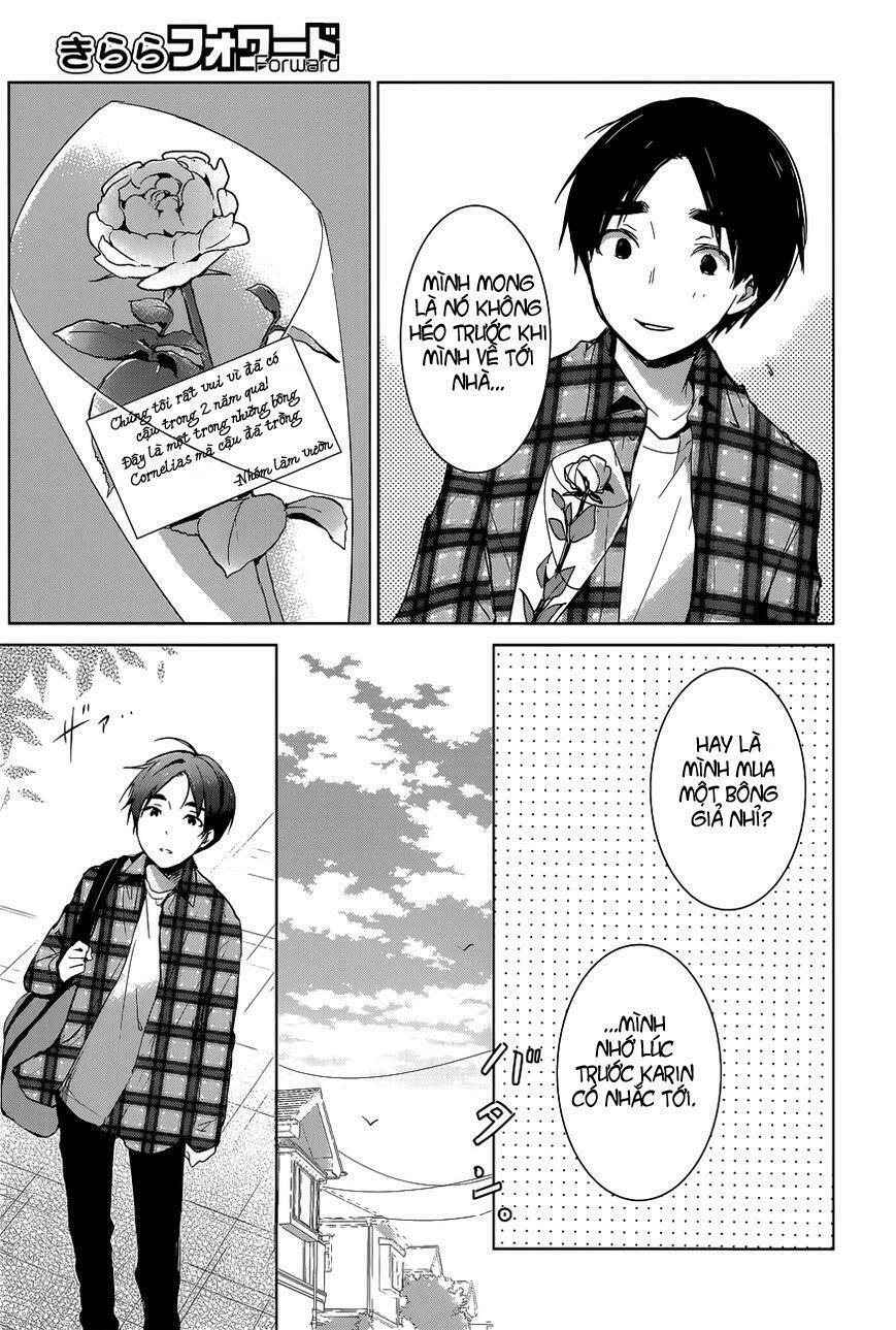 Chuyện tình nhẹ nhàng và ngọt ngào: Chapter 20: END