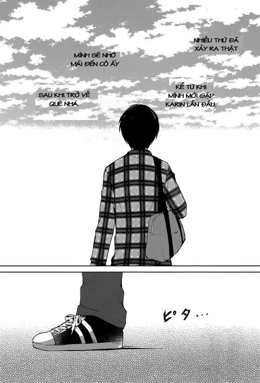 Chuyện tình nhẹ nhàng và ngọt ngào: Chapter 20: END