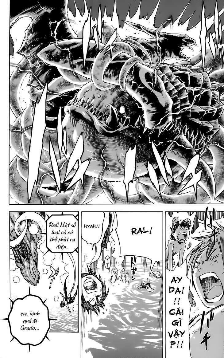 Rồng Xanh Grado: Chapter 14