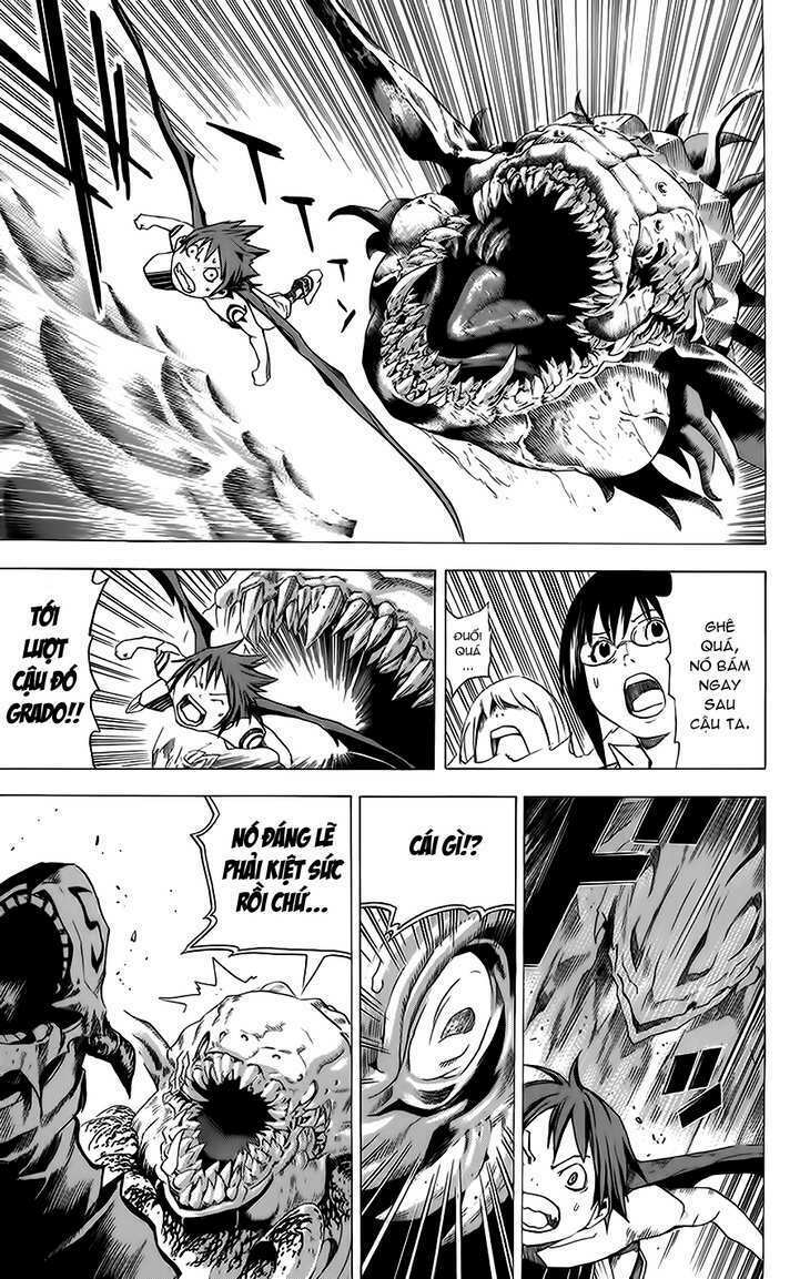 Rồng Xanh Grado: Chapter 14