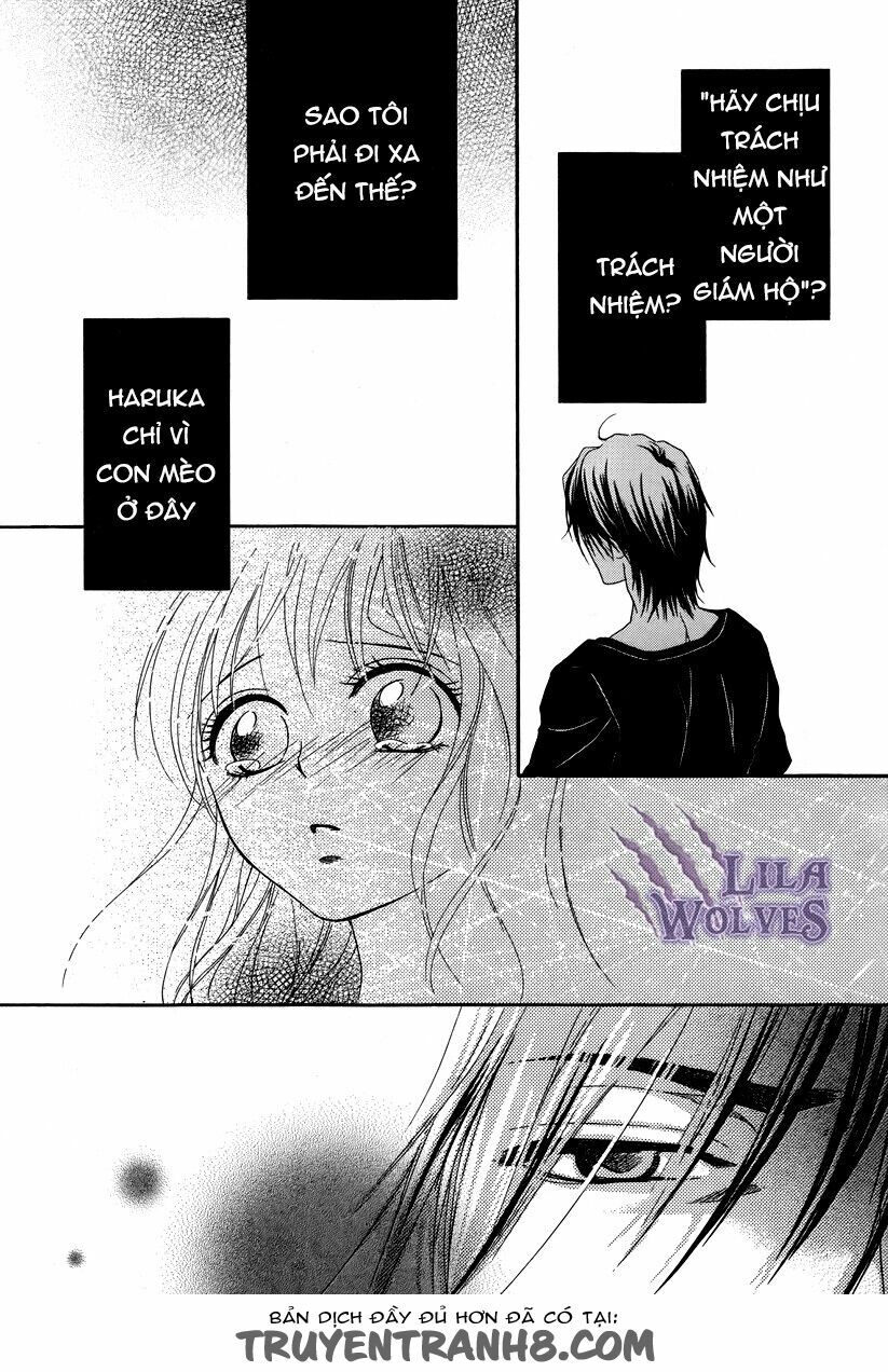 Kore wa Koi no Hanashi: Chapter 18