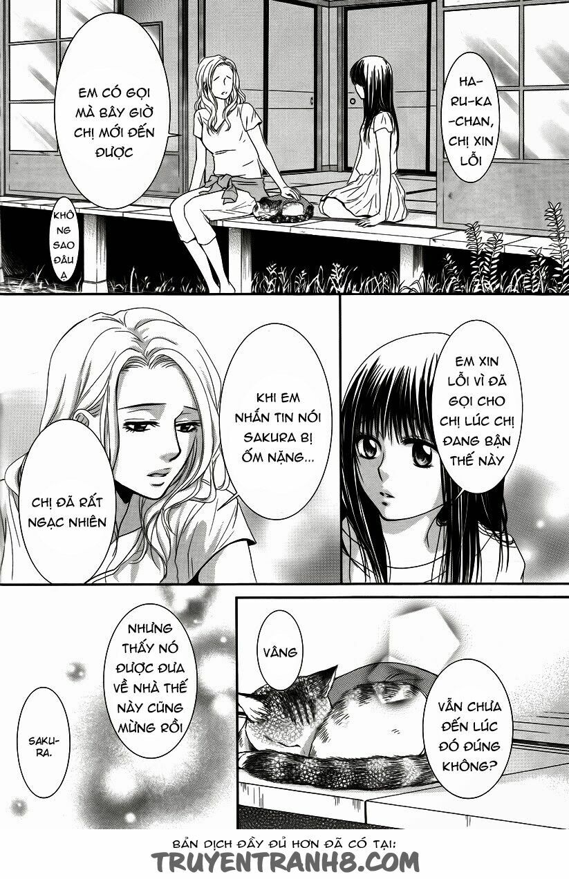 Kore wa Koi no Hanashi: Chapter 35