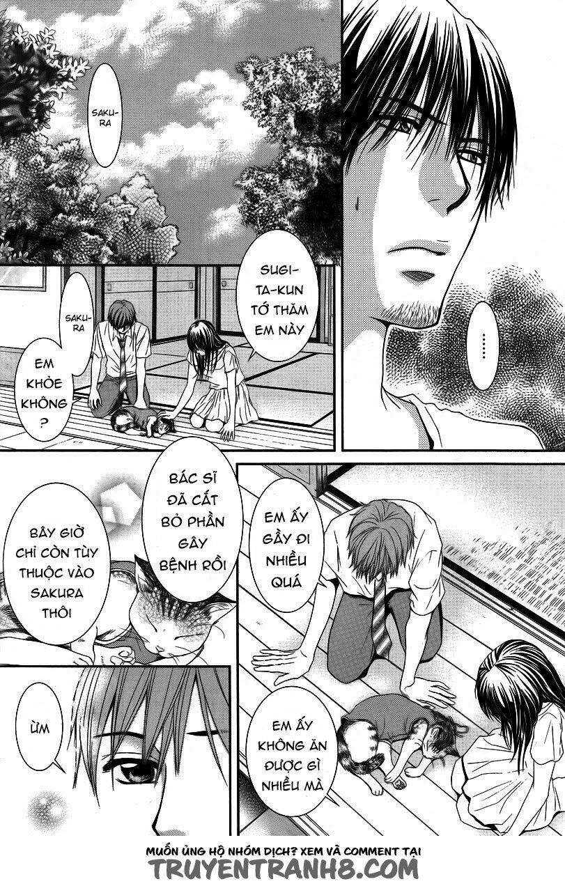 Kore wa Koi no Hanashi: Chapter 35