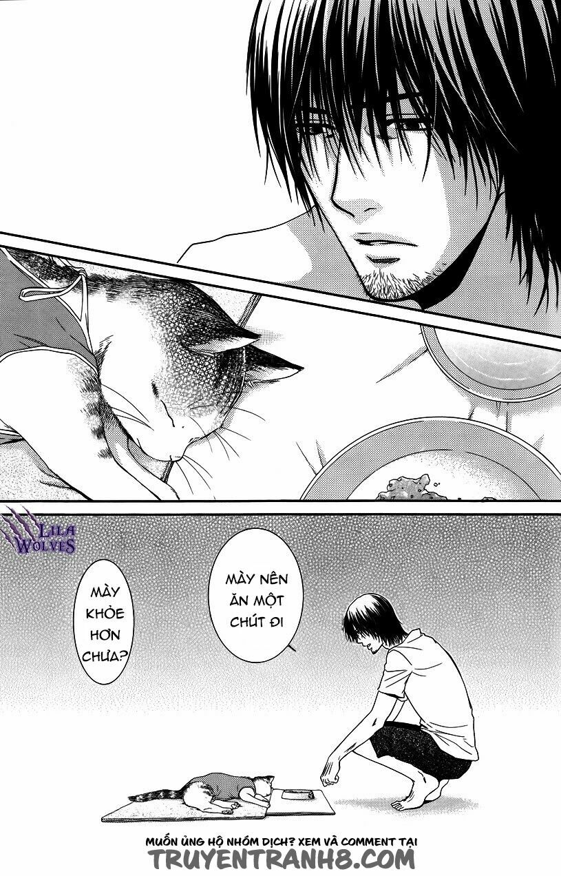Kore wa Koi no Hanashi: Chapter 35