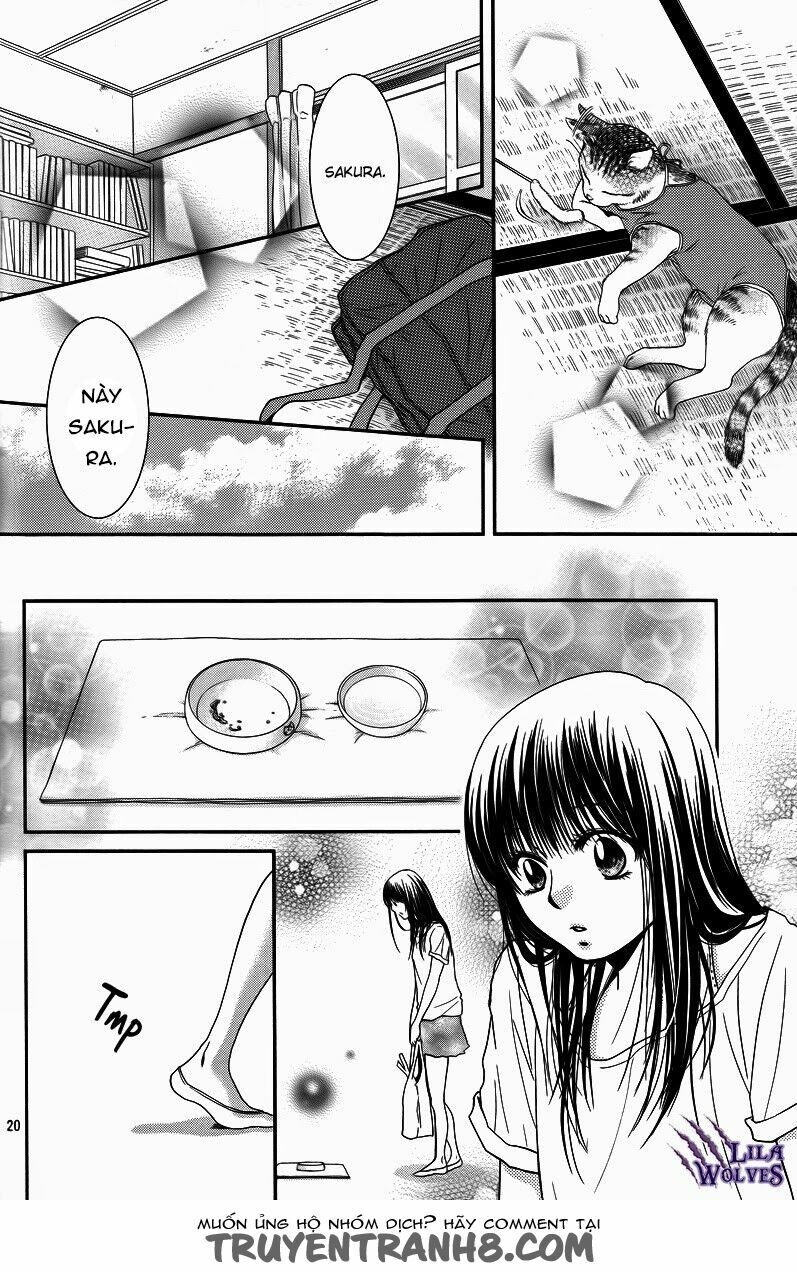 Kore wa Koi no Hanashi: Chapter 36