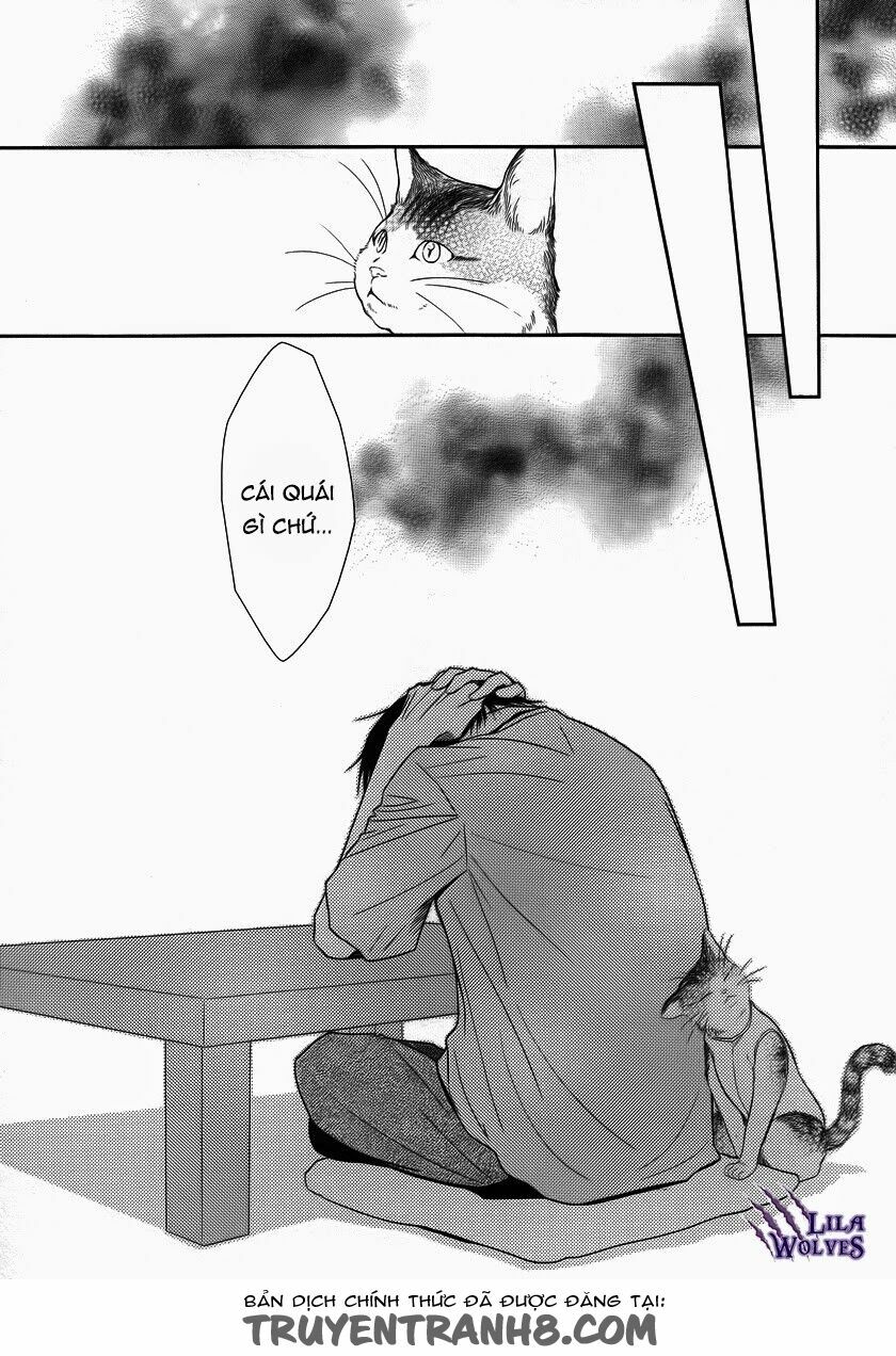 Kore wa Koi no Hanashi: Chapter 37