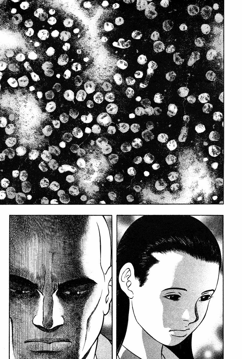 Emerging: Chapter 13
