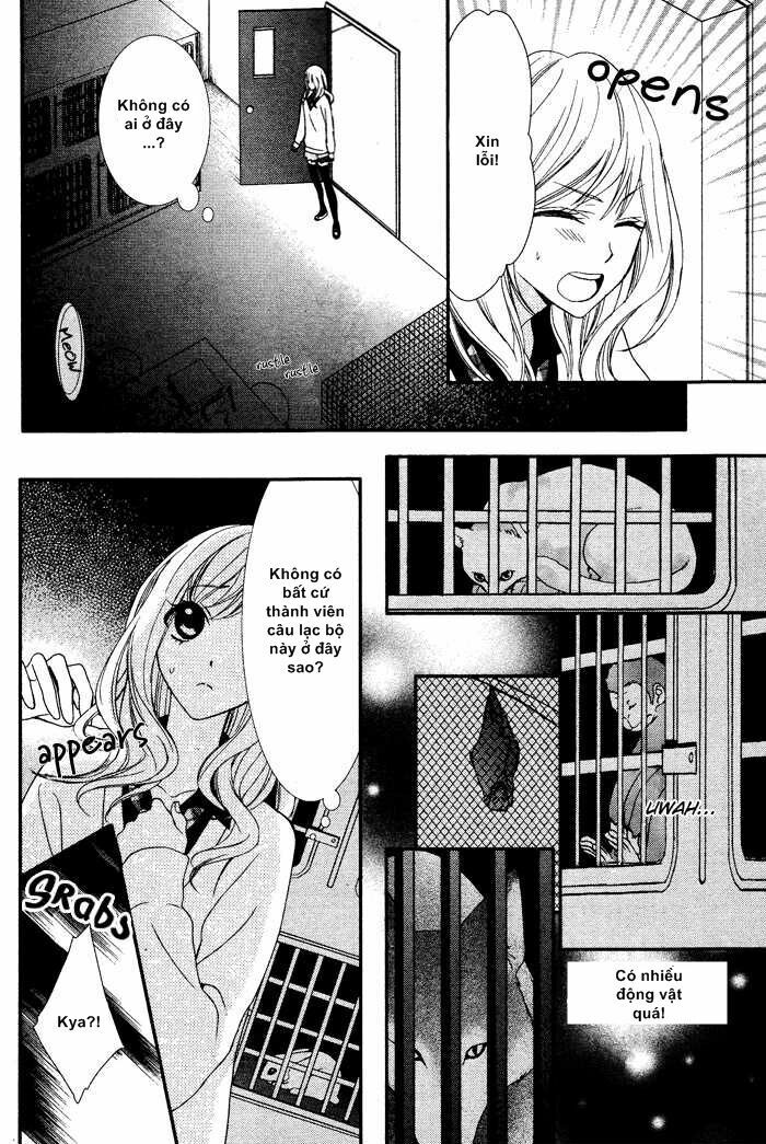 Viên kẹo kỳ diệu: Chapter 0.1